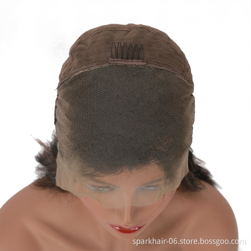 100% Mink Brazilian Human Hair Lace Wig 4x4/13x4 Ombre Color Full HD Swiss Lace Cuticle Aligned Virgin Hair Wig With Dark Roots
